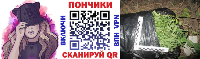 Купить закладки  Отрадная  Бошки марихуана White Widow 